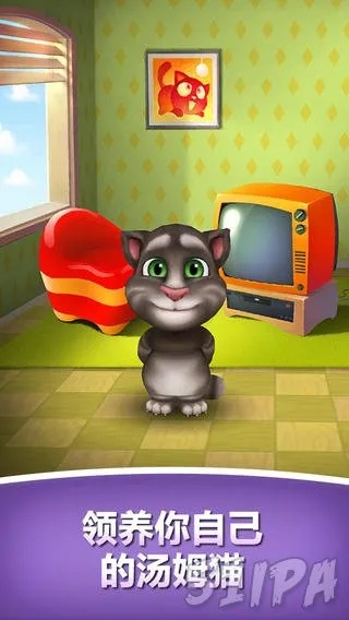 汤姆猫全版本,数据整合执行方案_Premium_v2.810,创意工作的无限可能