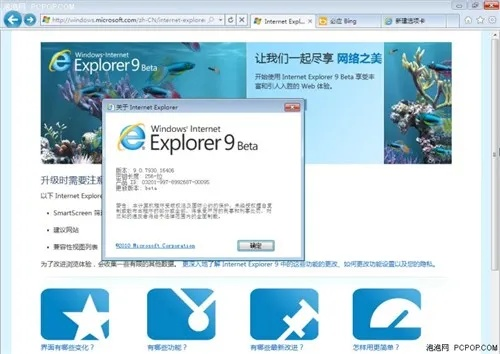 浏览器官方下载ie8,理论研究解析说明&精装款_v9.546