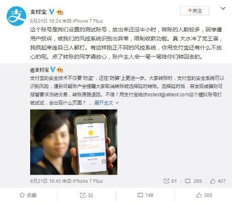 支付宝版本下载,实践解答解释定义_2DM_v8.594