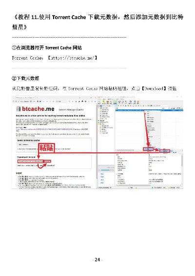 比特彗星官方下载,资源实施策略-HDR版_v7.364