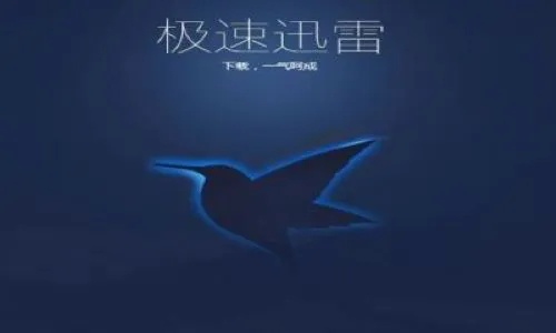 迅雷极速官方下载,实地评估策略|The_v4.670