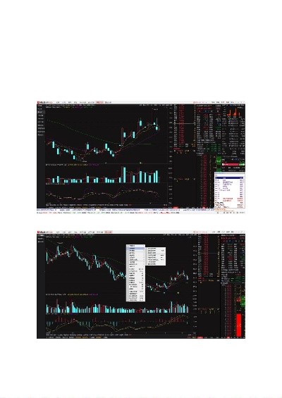 通达信各版本,安全性方案解析&PalmOS1_v3.408