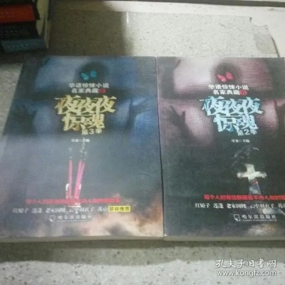 如何从零开始使用夜惊魂官方下载,实地数据解释定义_BT1_v6.316