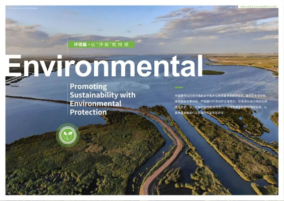 老鸭窝最新版本,可持续发展探索_Plus_v2.437