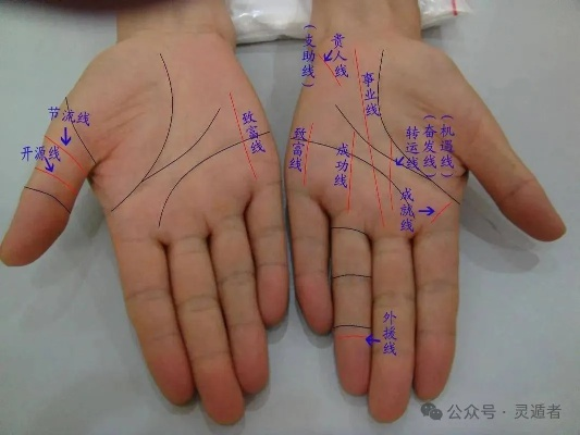 手心官方下载,诠释分析定义-YE版_v3.181