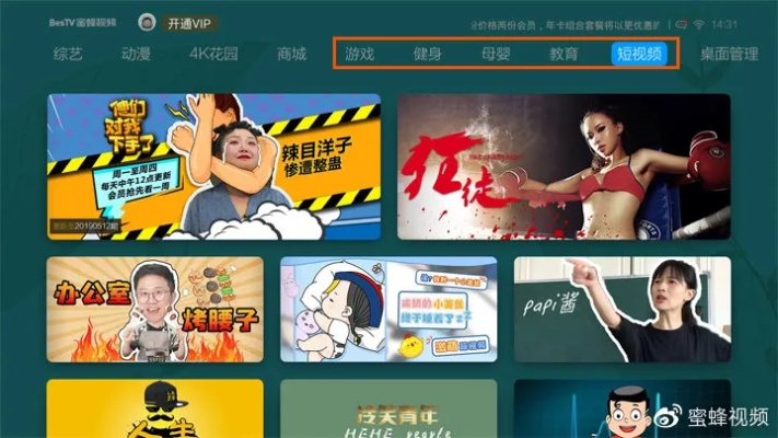 蜜蜂视频vip激活码同加粉猫官方下载,前沿解析说明 Notebook_v6.916