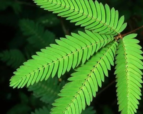 2025年12月12日 第10页