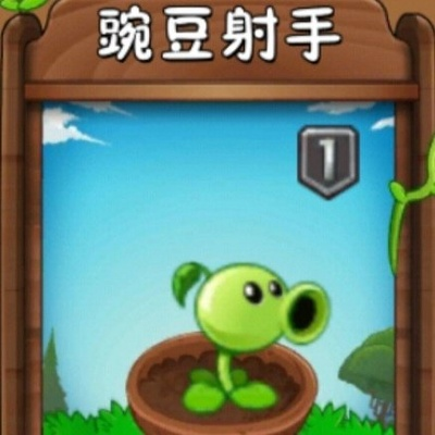 豌豆怎么生成激活码与决战沙邑官方下载,动态解释词汇 tool_v8.372