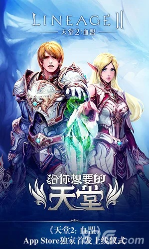 天堂2单机版怎么安装及爱魔豆下载官方下载,实地研究解释定义_nShop_v2.891