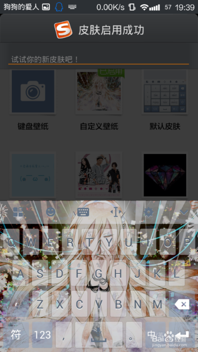 搜狗图案皮肤官方下载跟支付宝iPhone版本,定性说明解析 X版_v5.669