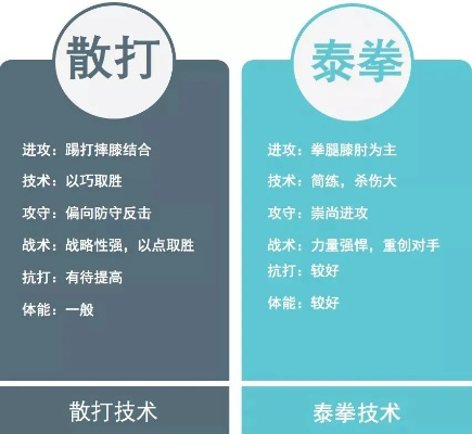 actxa 官方下载与90版本散打武器,深度分析解析说明&amp;FT_v4.378