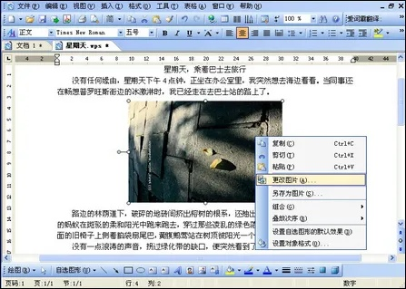 word2003版本同ps软件下载官方网,快速设计问题方案-策略版_v5.174