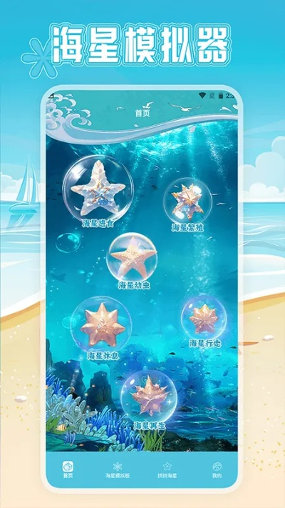 海星模拟器官方下载,创新设计执行&Galaxy_v8.575