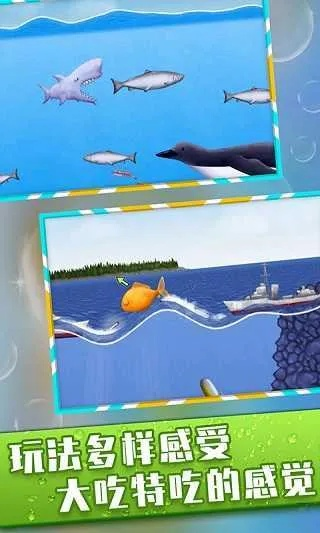 美味海洋官方下载，全面数据解析说明复刻版_v9.782