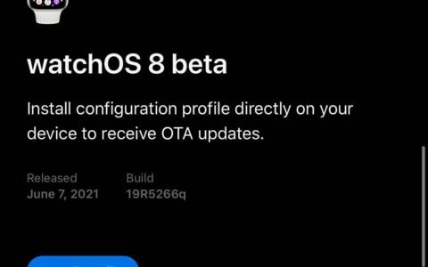 硕鼠官方下载 安装,定性解析评估|watchOS_v2.829