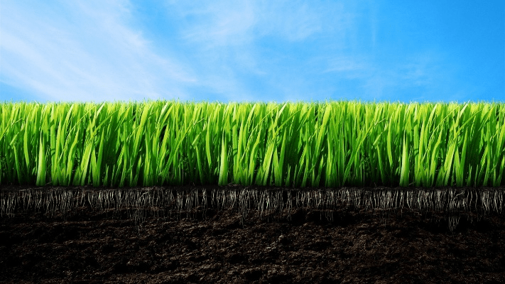 grass cut官方下载或哪个安卓版本最好用,持续设计解析策略_X版_v8.856