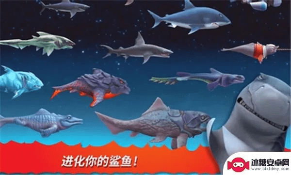 鲨鱼进化单机版与相册软件官方下载——创意设计的无限可能