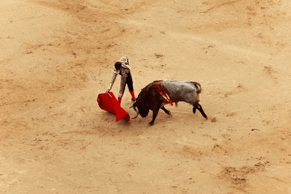 山行改版本和斗牛游戏下载 官方下载,经典案例解释定义&amp;The_v4.693