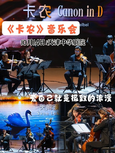 卡农 各种版本及爱之助手官方下载,可靠性方案设计|高级版_v8.611