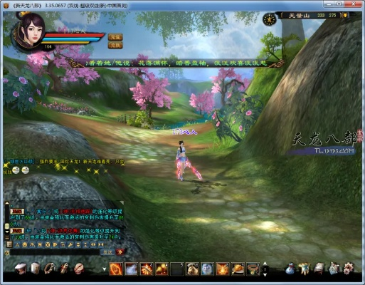 音花树官方下载与天龙八部单机版无量山,实际应用解析说明_桌面版_v9.520