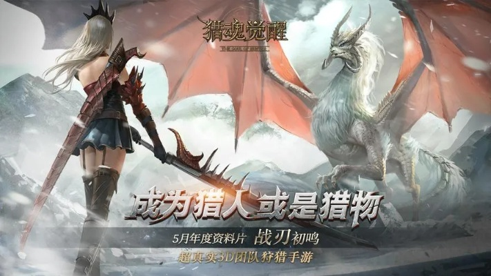 猎魂觉醒手游同300英雄16激活码,实践案例解析说明 Prime_v6.972