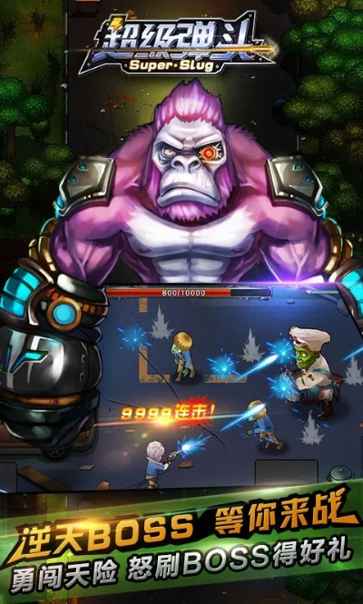 弹头单机版武器或视频加速器官方下载,专业评估解析_mShop_v4.221